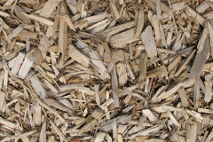 biomass boilers Tredunnock