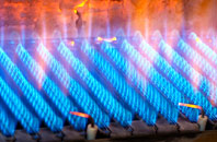 Tredunnock gas fired boilers